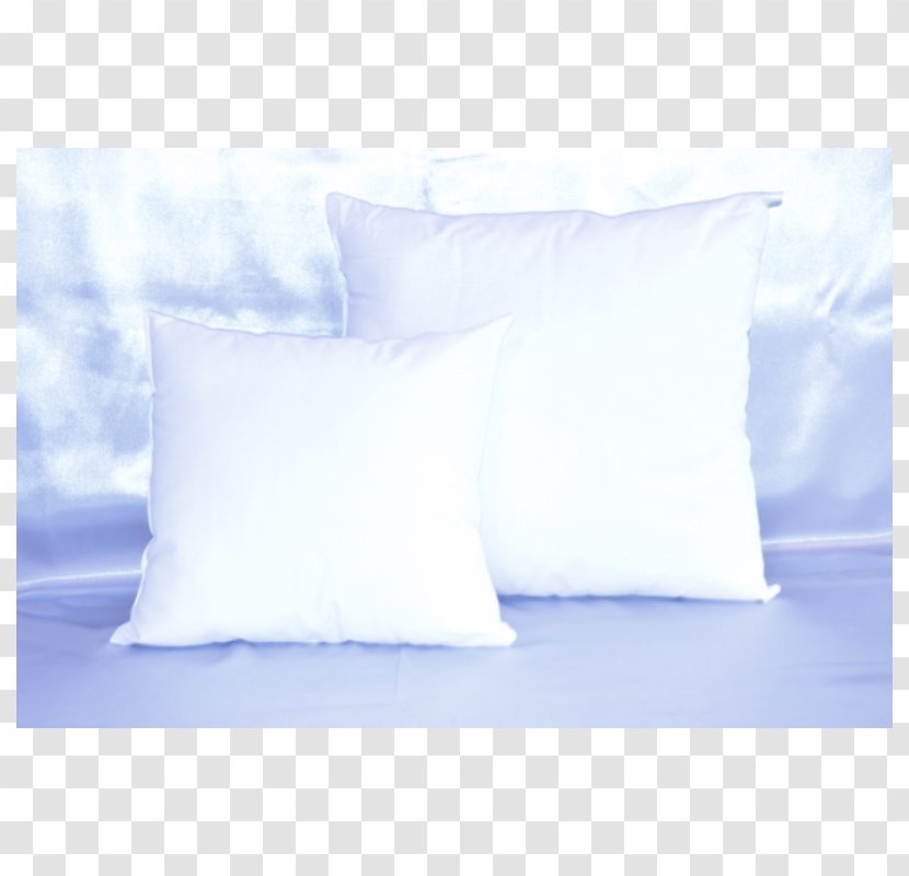 Throw Pillows Cushion Polyester Bed Sheets - Easygoing - Fashion Personalized Fruit Shop Transparent PNG