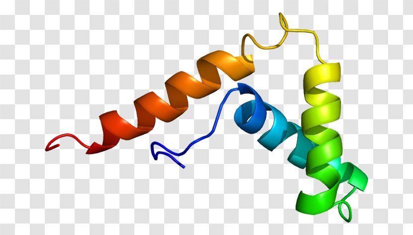 SOX5 SOX Gene Family Protein Testis-determining Factor Transcription - Tree - Heart Transparent PNG