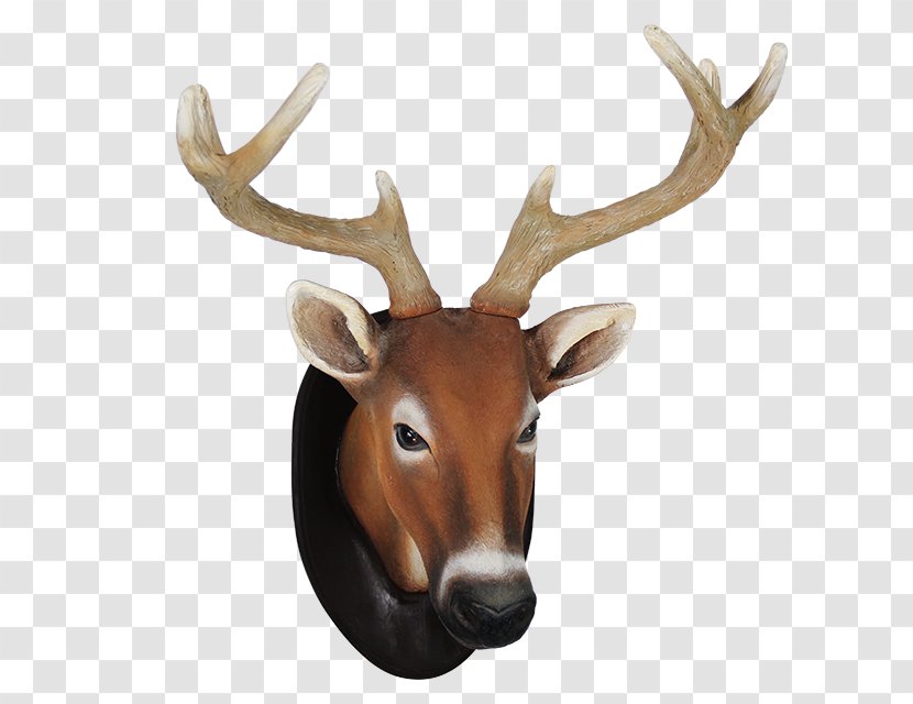 Reindeer Elk White-tailed Deer Antler - Trophy - Head Transparent PNG