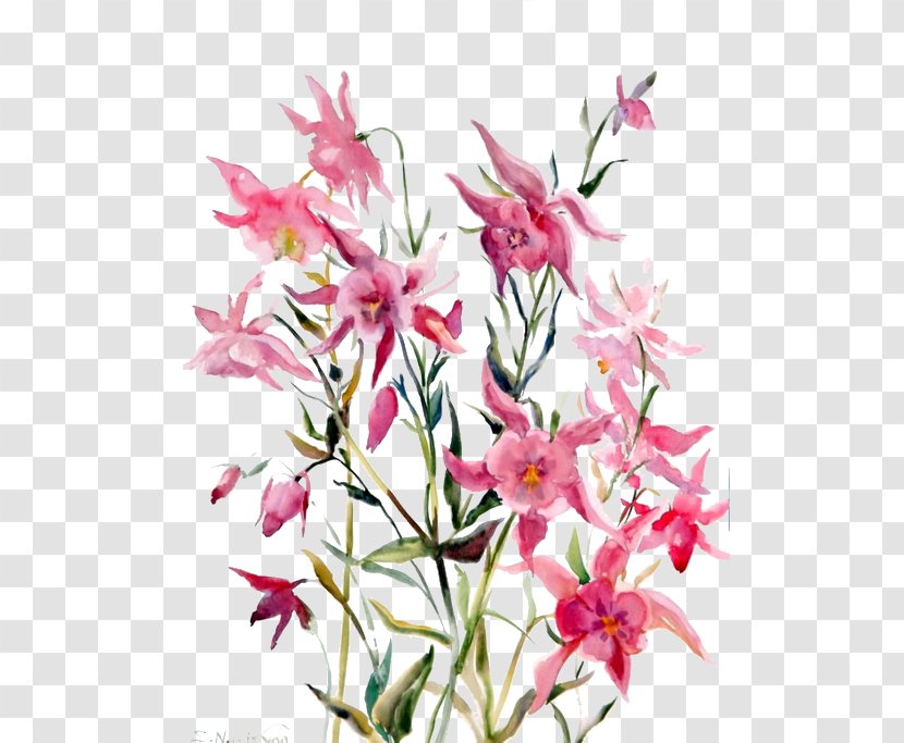 Pink Lilium Computer File - Flower - Lily Transparent PNG