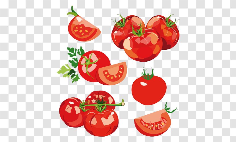 Vegetable Salad Tomato Clip Art - Peppers Transparent PNG