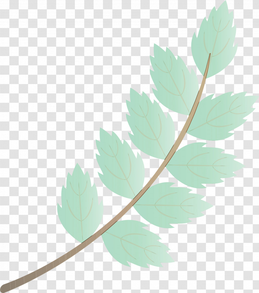 Twig Leaf Plant Stem Autumn Transparent PNG