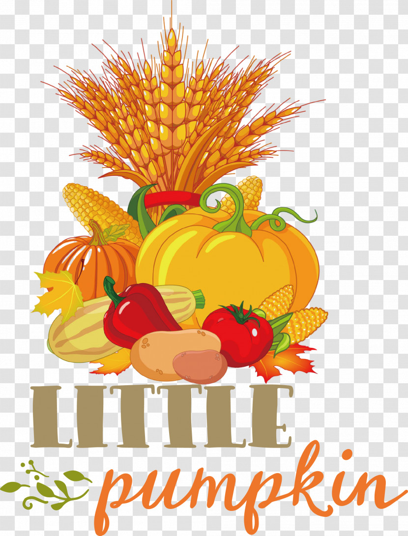 Little Pumpkin Thanksgiving Autumn Transparent PNG