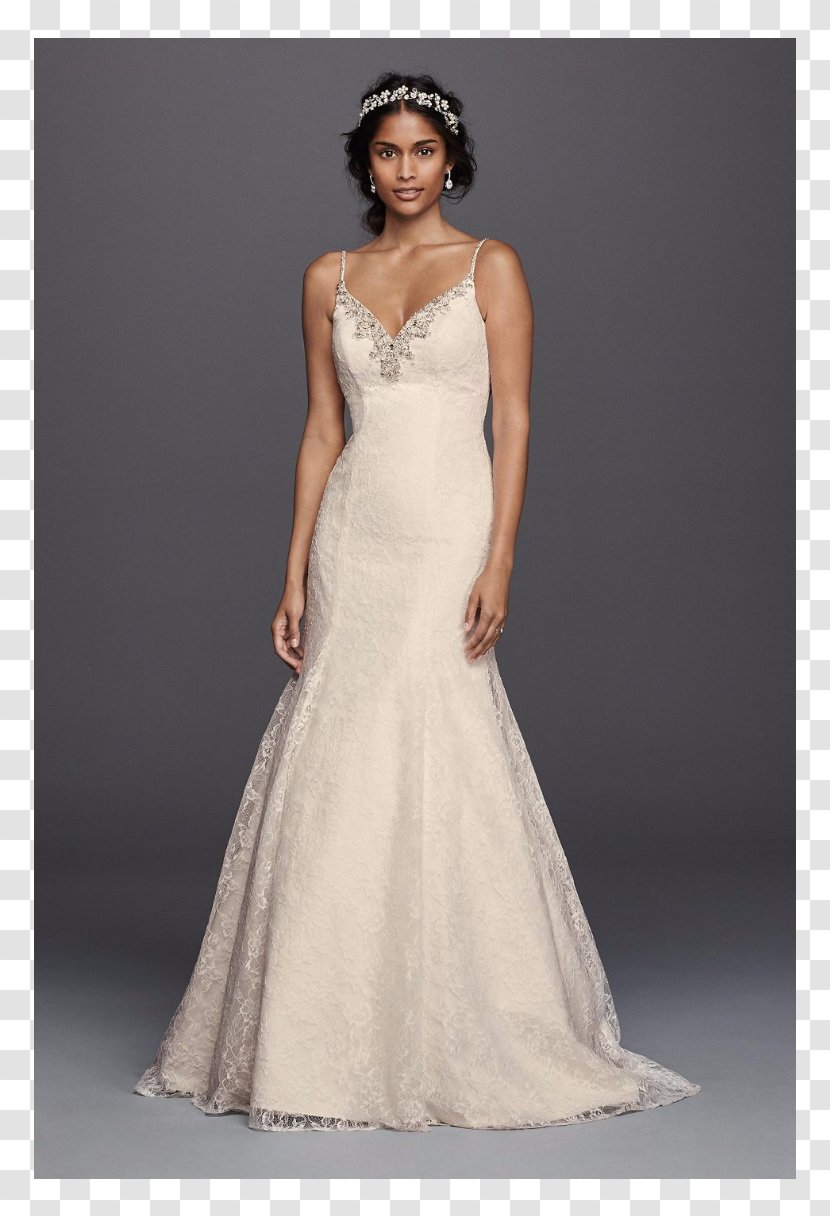 Wedding Dress Neckline David's Bridal Embellishment - Bride - Lace Transparent PNG