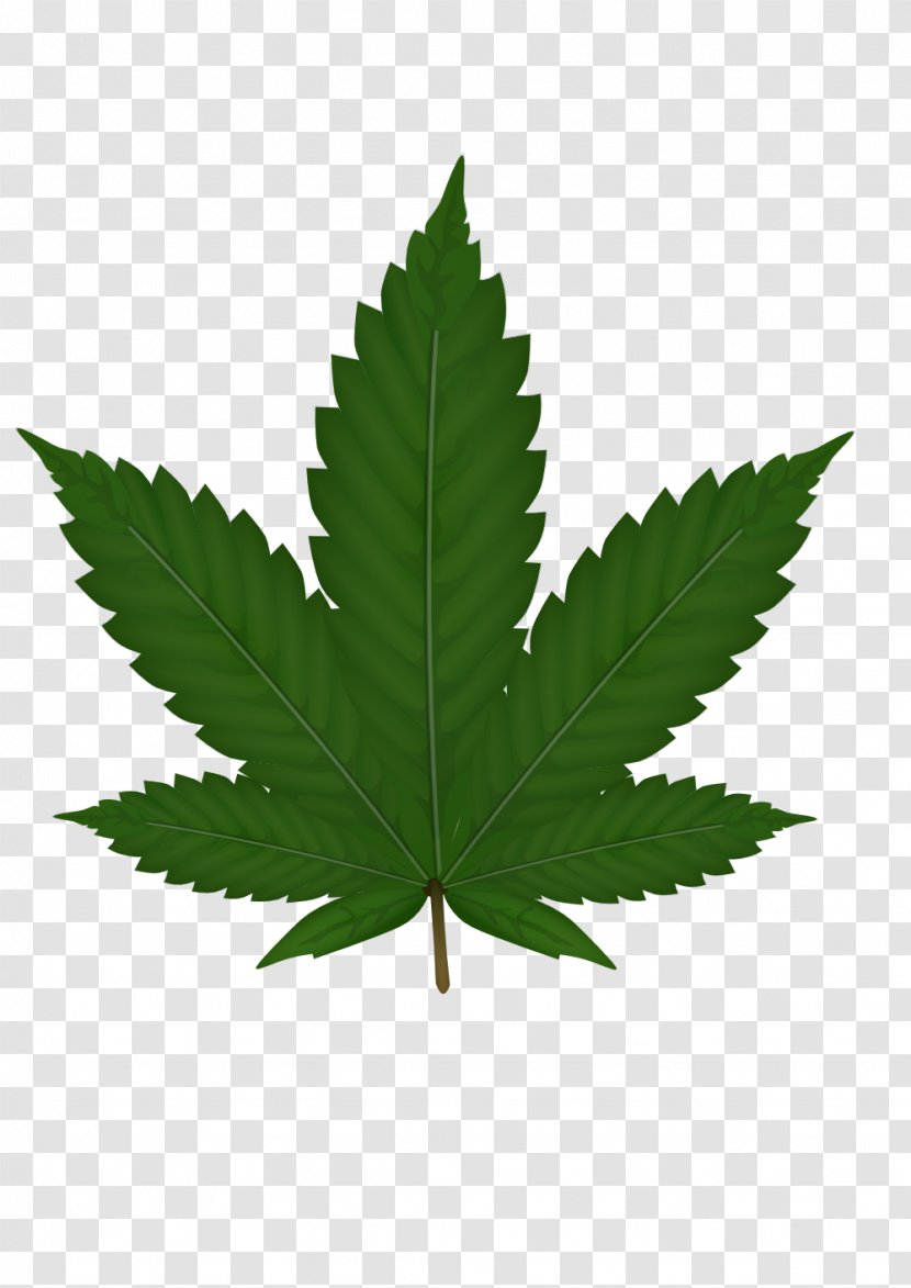 Cannabis Smoking Hemp Plant Clip Art - Sativa - Green Leaves Transparent PNG