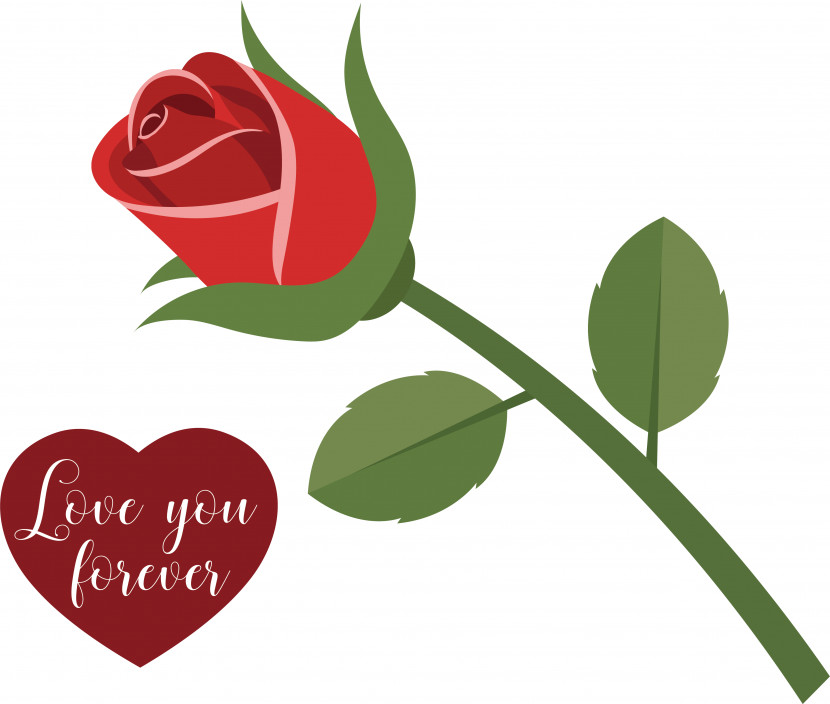 Garden Roses Transparent PNG