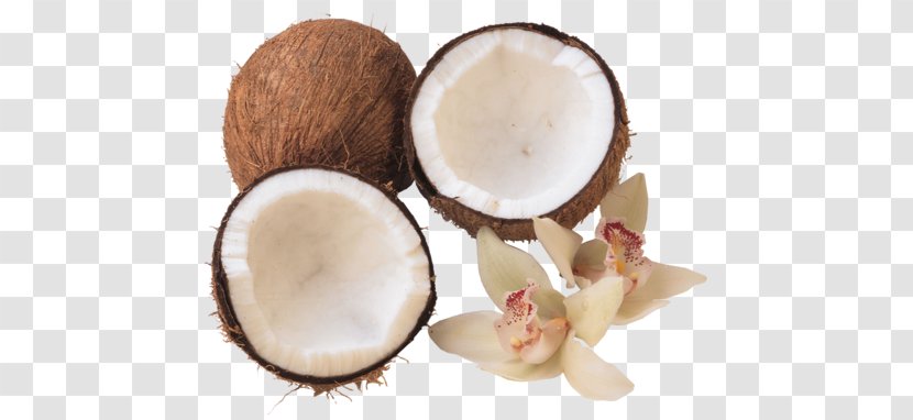 Coconut Water Oil Food Health Transparent PNG