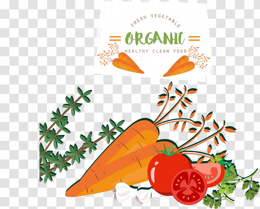 Fruit Vegetable Food Tomato Carrot - Gratis Transparent PNG