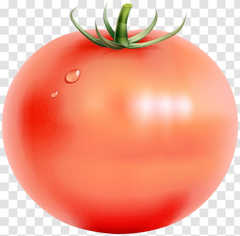 Tomato Cartoon - Superfood - Vegetarian Food Cherry Tomatoes Transparent PNG