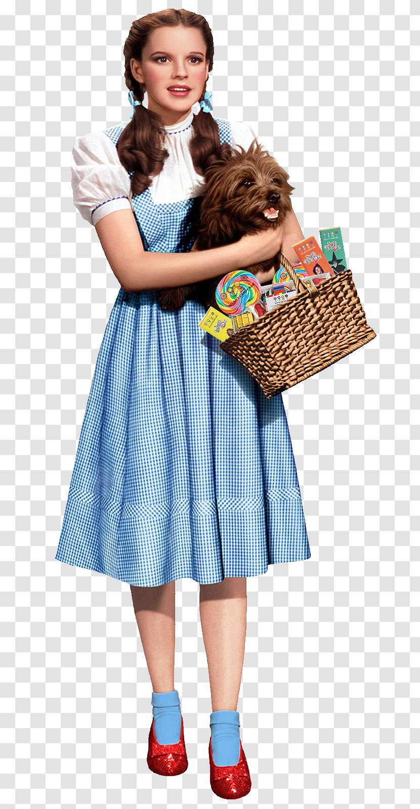 Judy Garland Dorothy Gale Toto Tin Woodman Cowardly Lion - Frame - Wizard Of Oz Transparent PNG