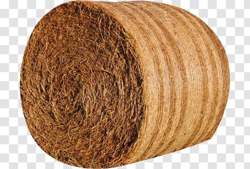 Flowvella Wool - Agriculturist - Beige Thread Transparent PNG