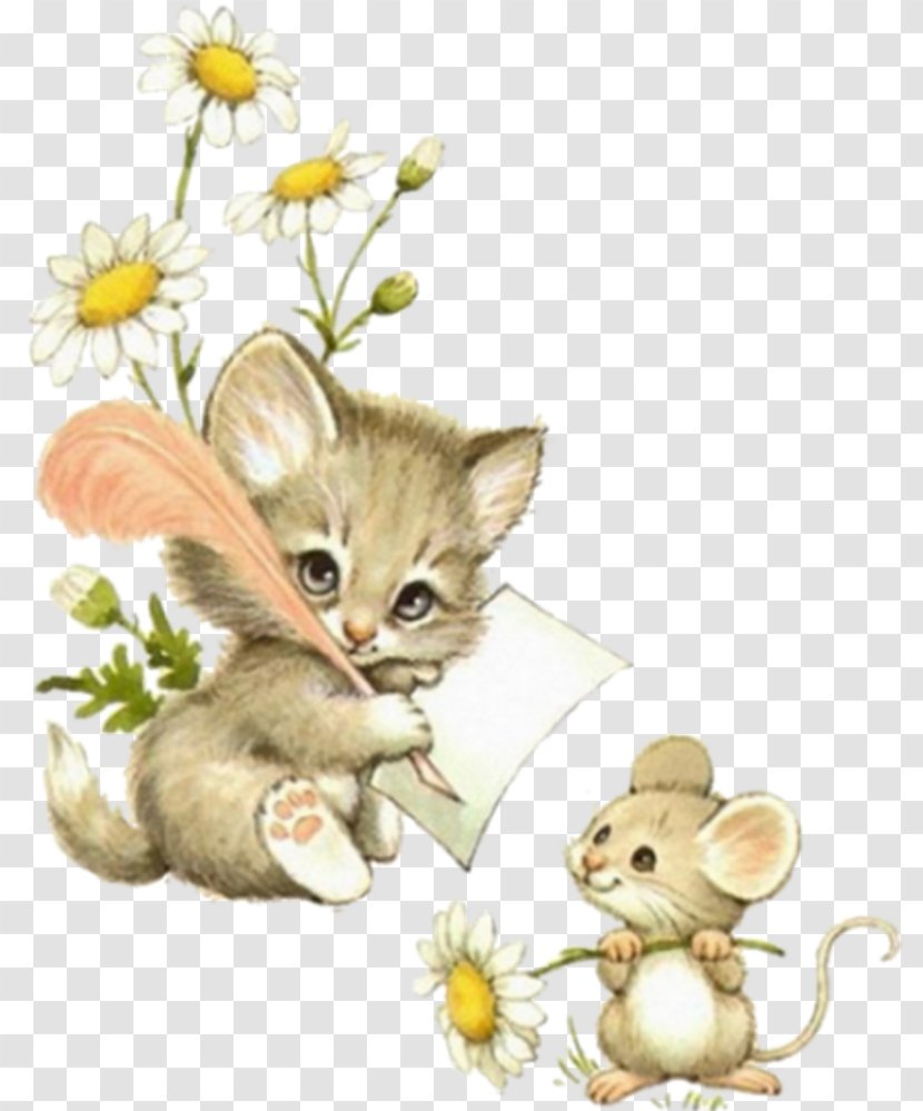 Kitten Cat Mouse Animal Illustrations Clip Art - Whiskers Transparent PNG