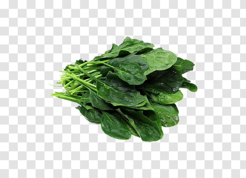 Palak Paneer Spinach Vegetable Lasagne - Leaf Transparent PNG
