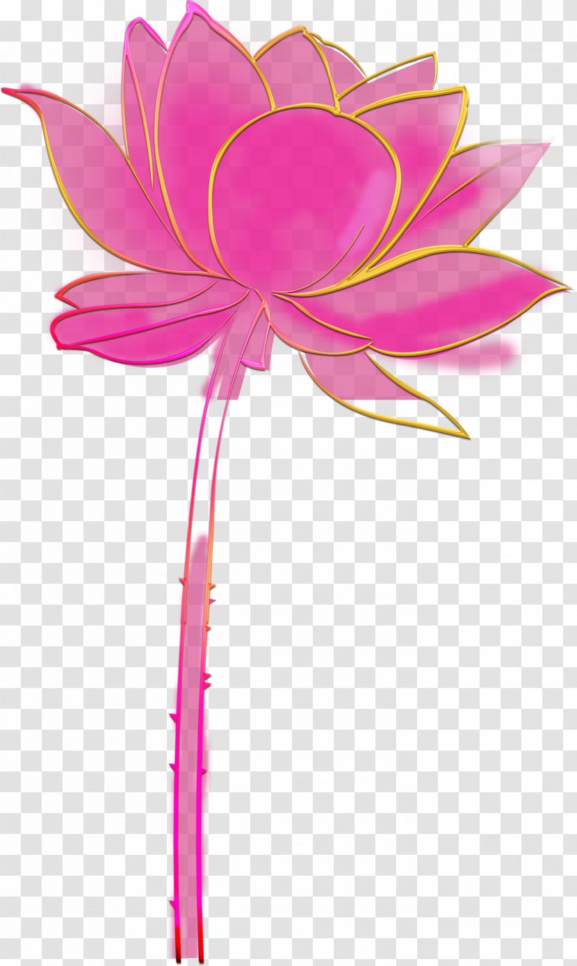 Flora Cut Flowers Plant Stem Petal - Floral Design - Hand-painted Lotus Transparent PNG