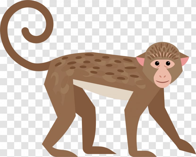 Ape Monkey - Carnivoran - Cute Little Transparent PNG