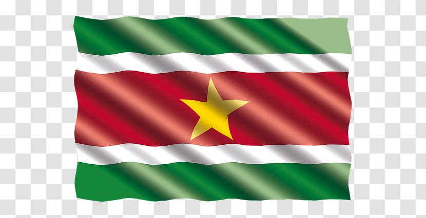 Flag Of Suriname United States - Green - International Ticket Transparent PNG
