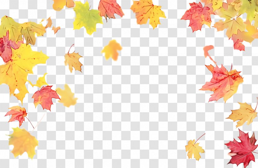 Maple Leaf - Autumn - Plane Transparent PNG