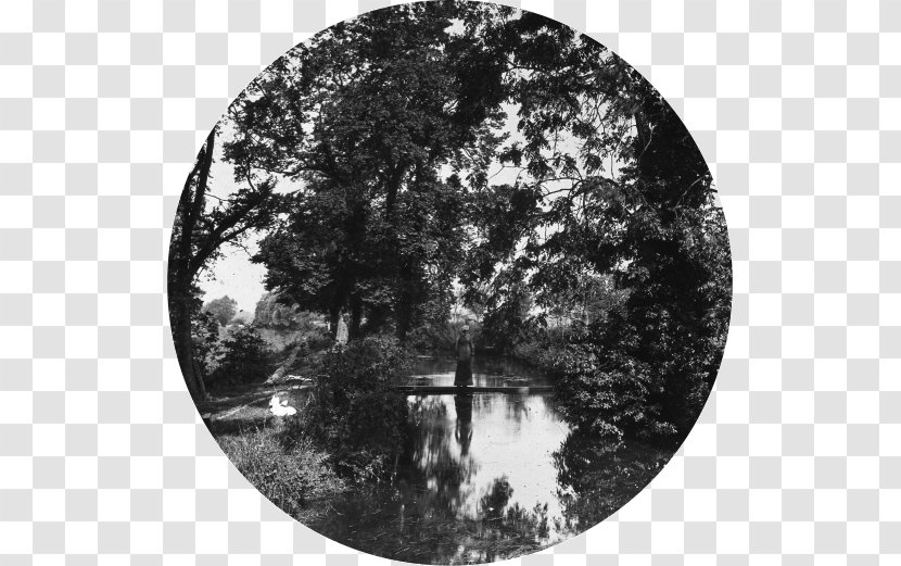 River Thames Marston Meysey Tree Google Slides White - Monochrome Transparent PNG
