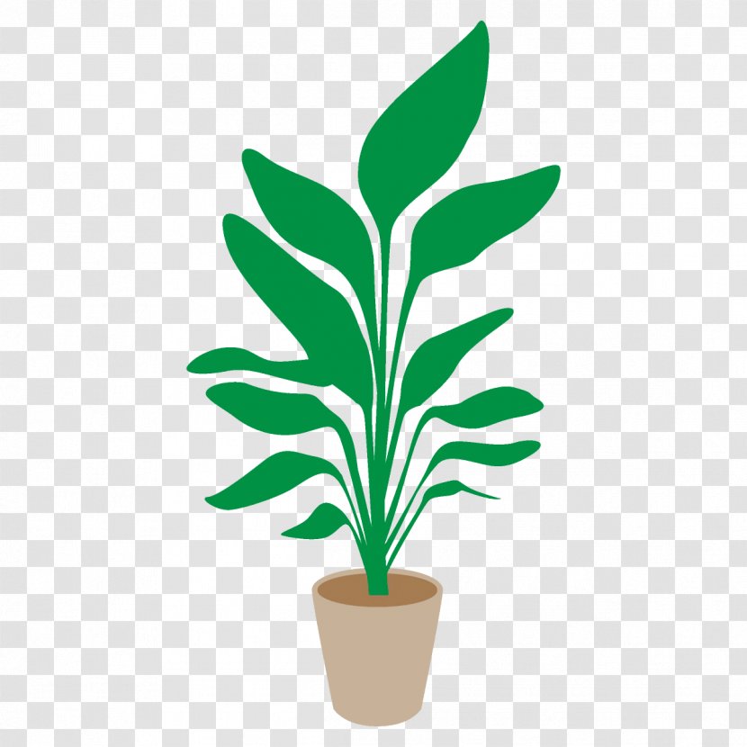 Flowerpot Plant Houseplant Leaf Flower - Flowering - Terrestrial Transparent PNG