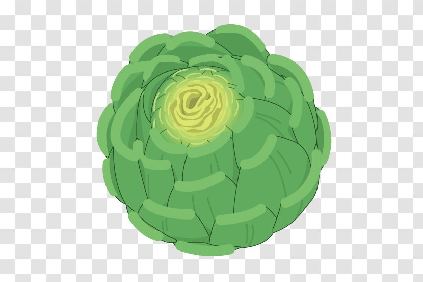 Cabbage Clip Art - Leaf Vegetable - Vector Transparent PNG
