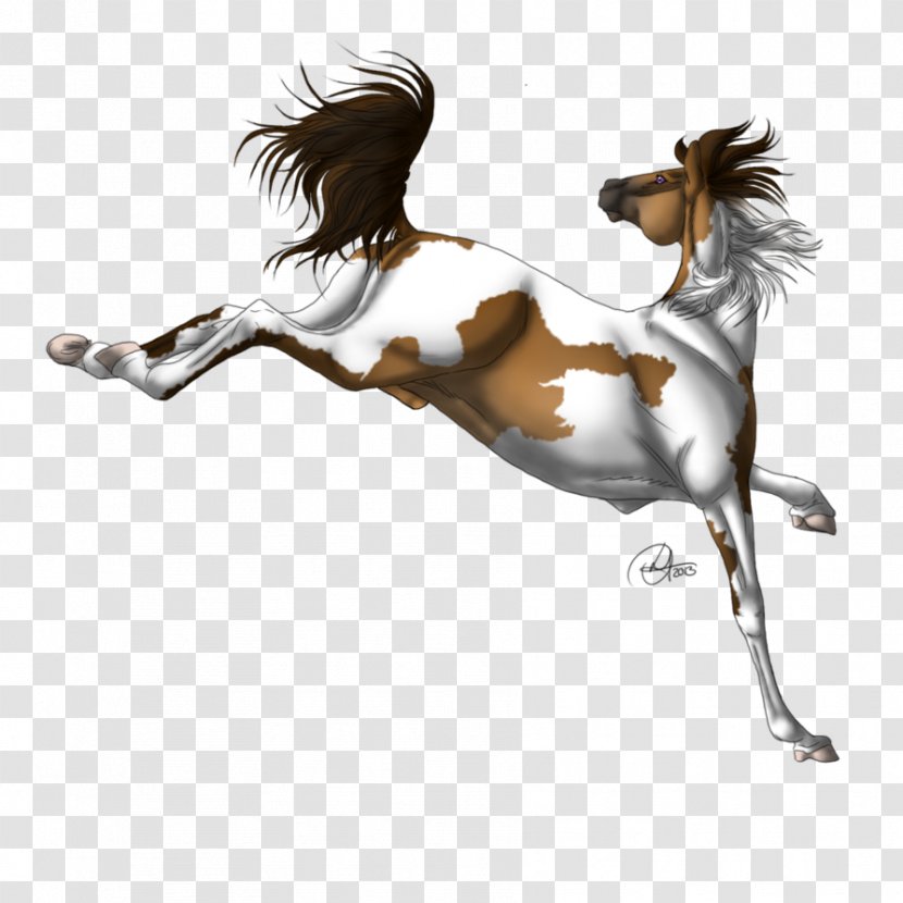 Mane Mustang Stallion Halter Pony - Art Transparent PNG