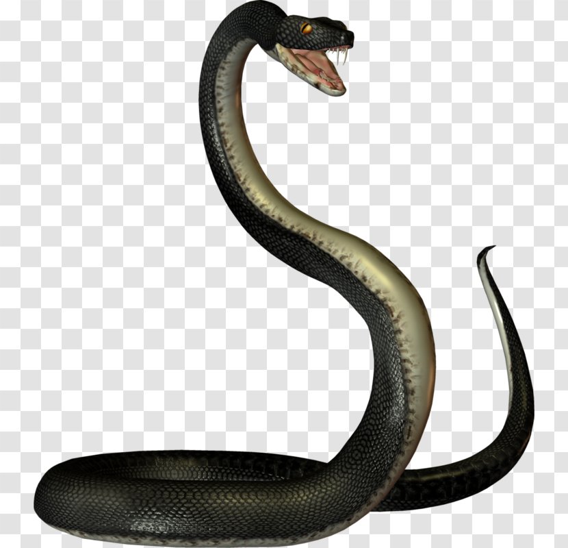 Mambas Snake - Toy Transparent PNG