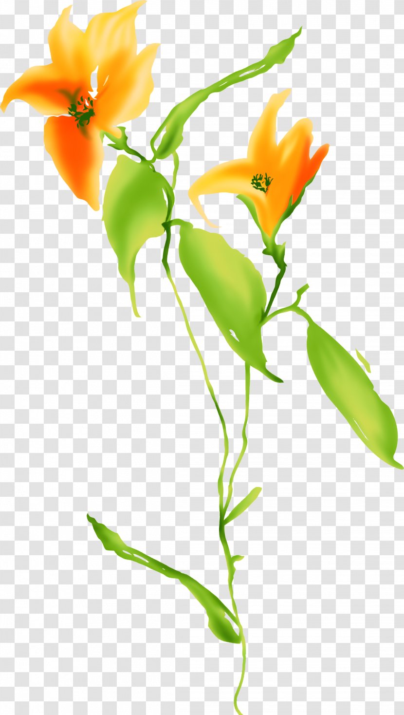 Flower Color Orange - Floral Design - Flowers Transparent PNG
