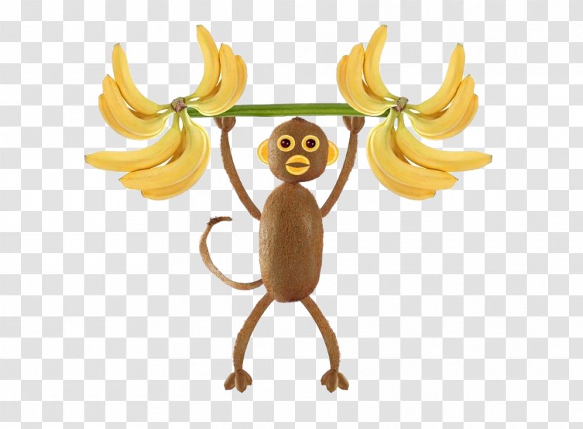Kiwifruit Stock Photography Monkey Pineapple - Cartoon - Weightlifting Monkeys Transparent PNG