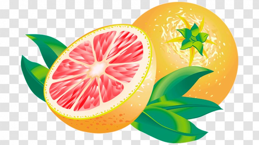Blood Orange Grapefruit Juice Lemon Tangelo - Peel Transparent PNG