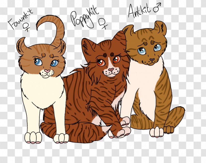 Whiskers Lion Tiger Cat Red Fox - Small To Medium Sized Cats - Blue Mackerel Tabby Transparent PNG