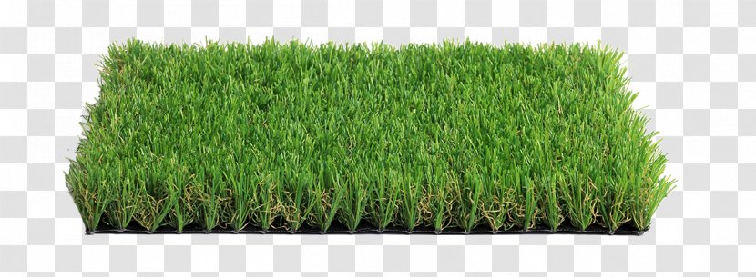Italgreen SpA Lawn Artificial Turf Garden Carpet - Plant - Landscape Green Transparent PNG