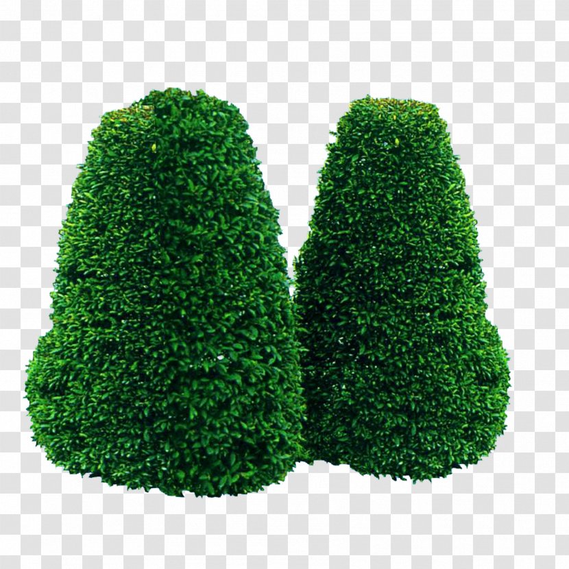 Tree Garden Green - Conifer - Stone Shape Flowerbeds Transparent PNG