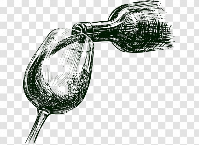 Winemaking Common Grape Vine Wine Glass - Sketch Transparent PNG