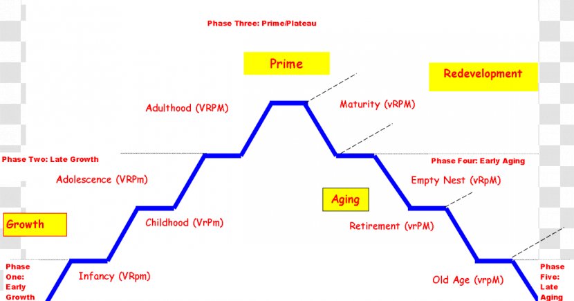Line Organization Angle Diagram Brand - Development Cycle Transparent PNG