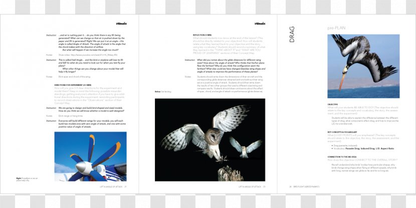 Graphic Design Owl Poster - Barn Transparent PNG