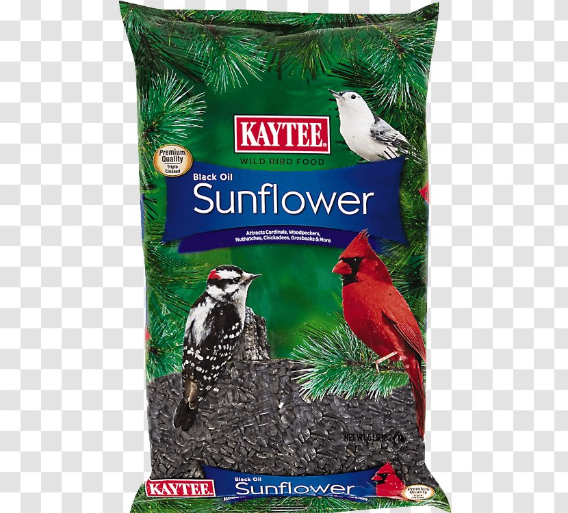 Bird Food Finch Sunflower Seed Kaytee - Supply - Oil Transparent PNG