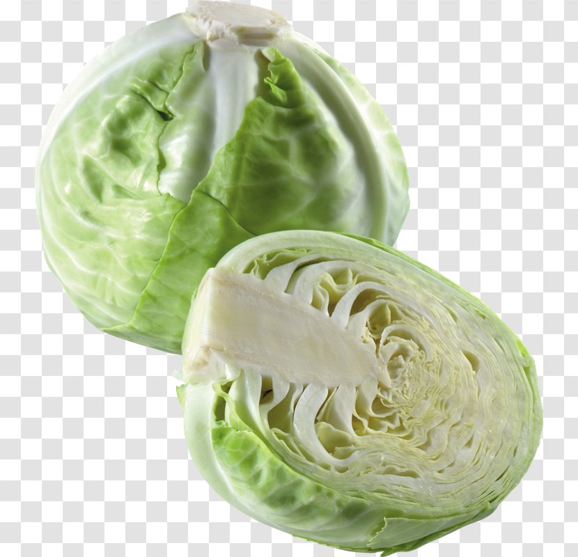 Cabbage Vegetable Clip Art Cauliflower Transparent PNG