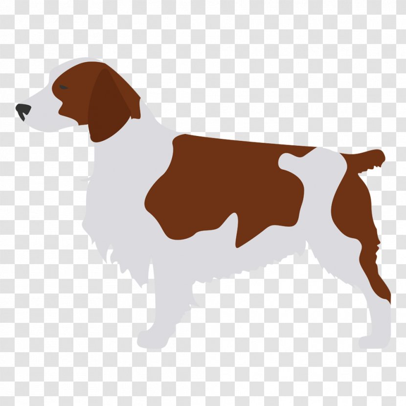 Dog Breed Beagle Harrier Drever English Foxhound - Springer Spaniel Transparent PNG