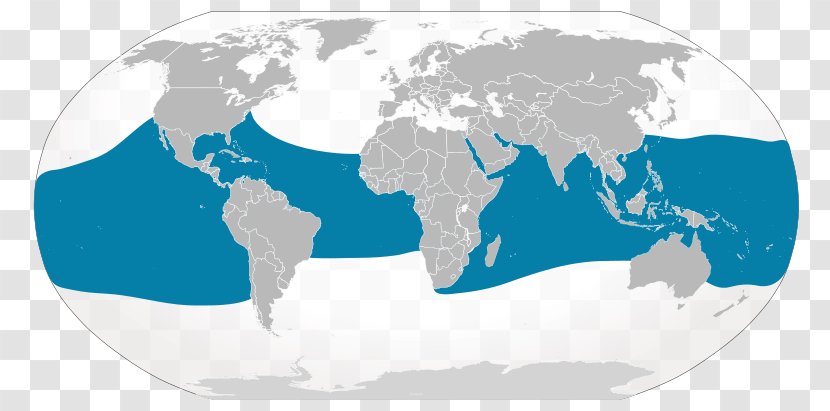 The World Factbook Map Globe - Water - Nature，sea Animals，whale Transparent PNG