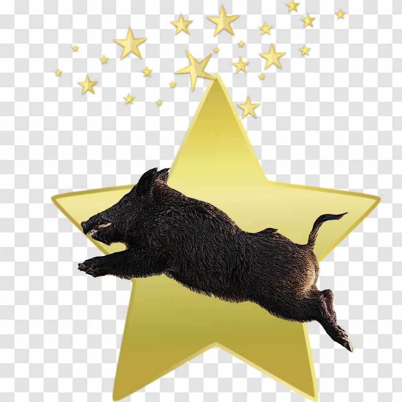 Star Tag Clip Art - Bit - Boar Transparent PNG