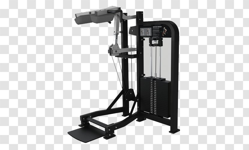Strength Training Calf Raises Fitness Centre Exercise Machine - Fly Transparent PNG