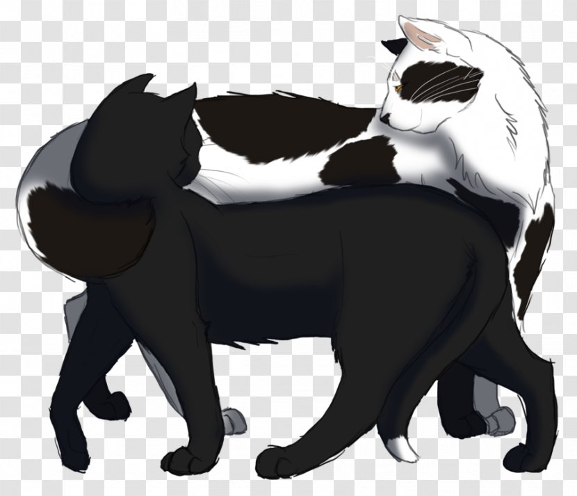 Whiskers Cat Ravenpaw Warriors Talon Of Swooping Eagle - Writer Transparent PNG