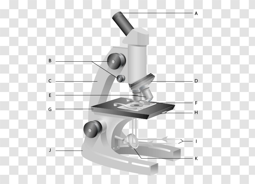 Carl Zeiss Microscopy Optical Microscope Worksheet Diagram - Zoological Specimen Transparent PNG