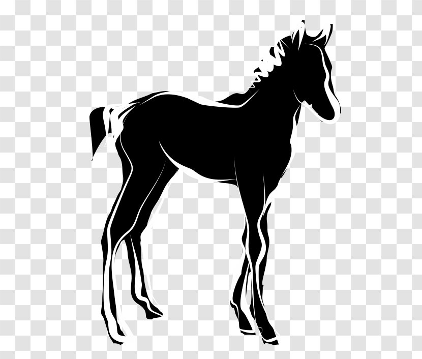 Donkey Cartoon - Foal - Livestock Liver Transparent PNG