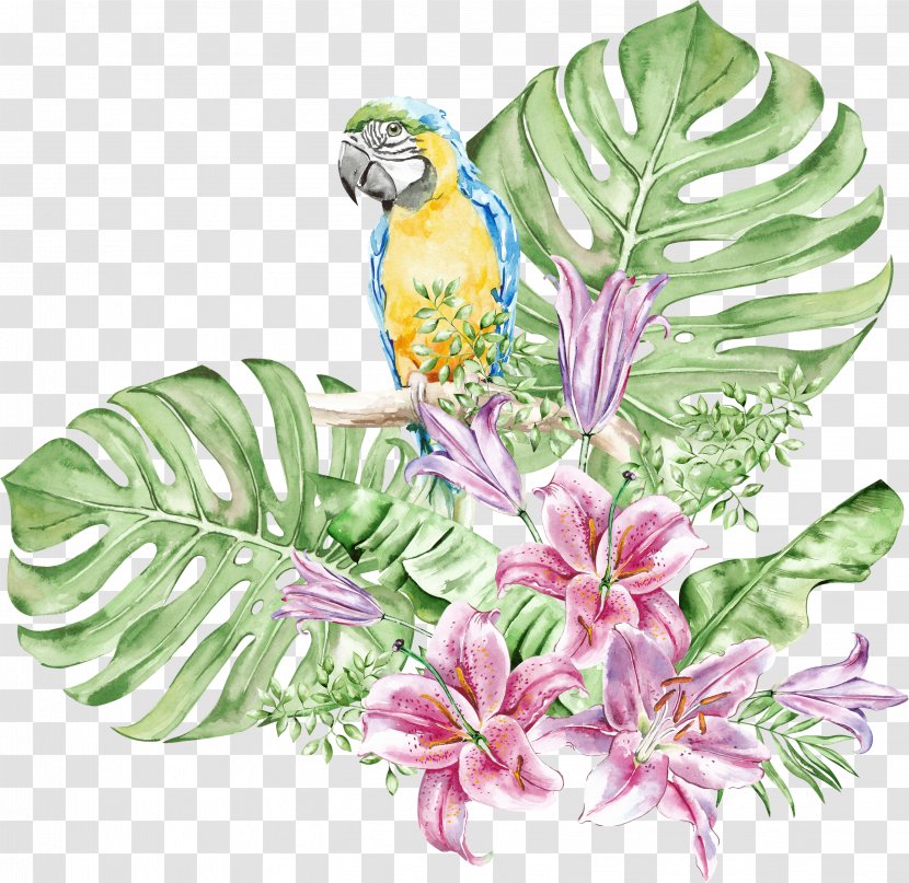 Watercolor Flower Background - Paint Transparent PNG