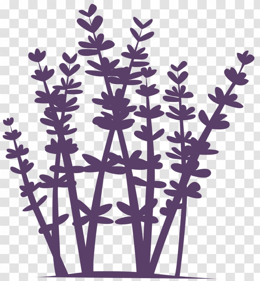 Schoonheidssalon Lavendel Huidinstituut VANNU Lavender Tea Tree Oil Transparent PNG