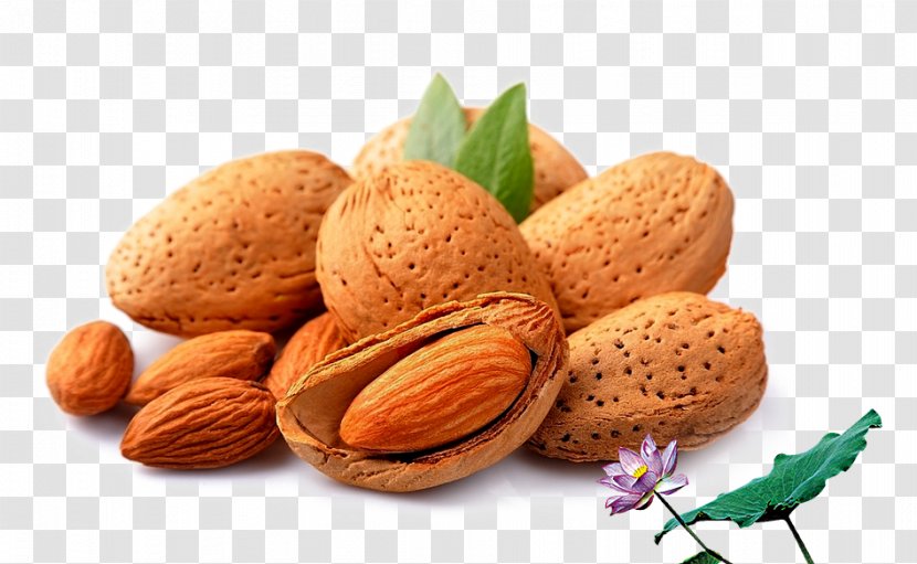 Almond Stuffing Nut Dried Fruit - Batan Wood Nuts Transparent PNG