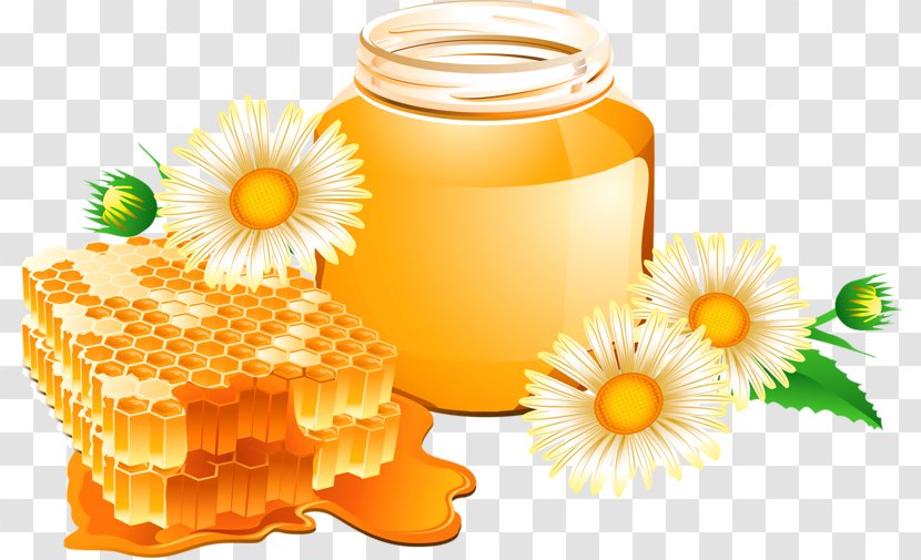 Honey Bee Honeycomb - Royaltyfree - Delicious Transparent PNG