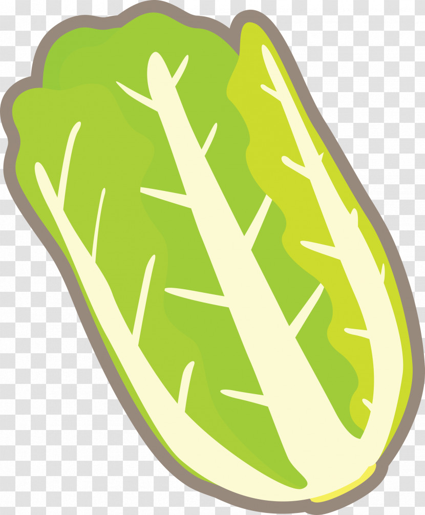 Nappa Cabbage Transparent PNG