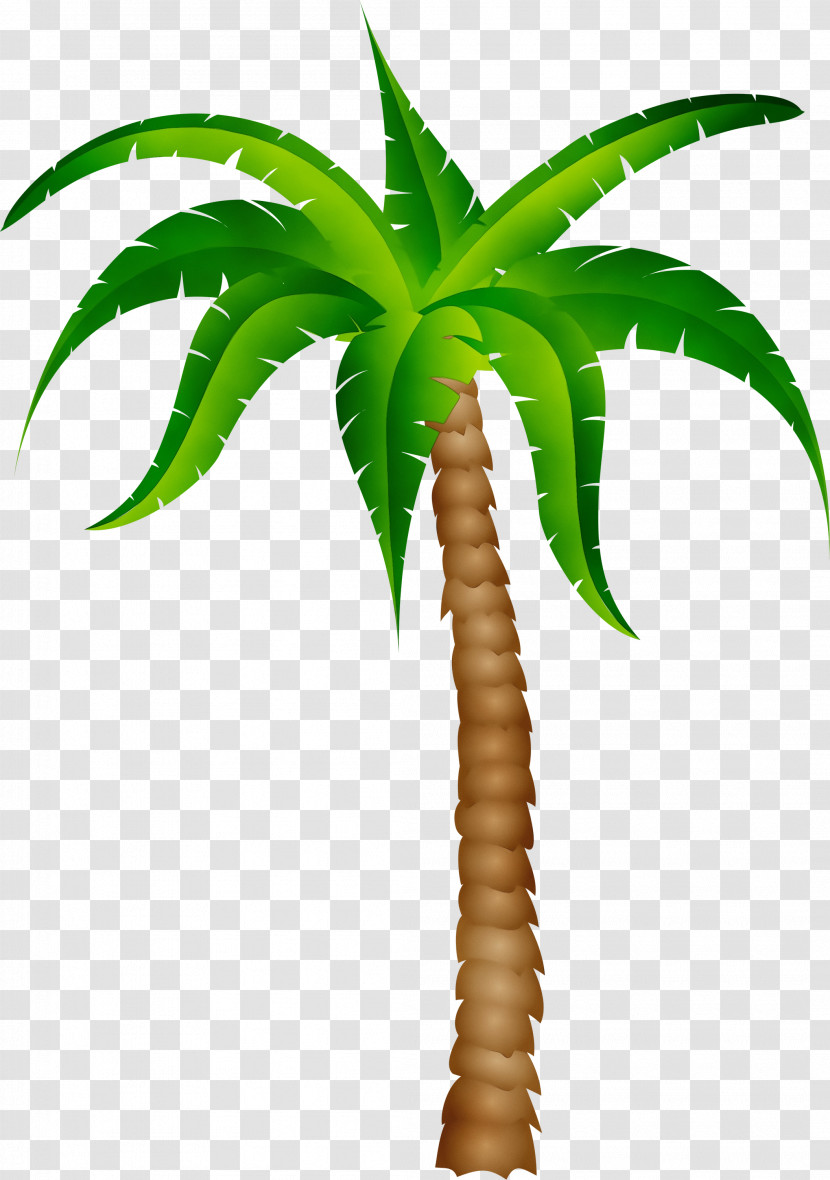 Palm Tree Transparent PNG